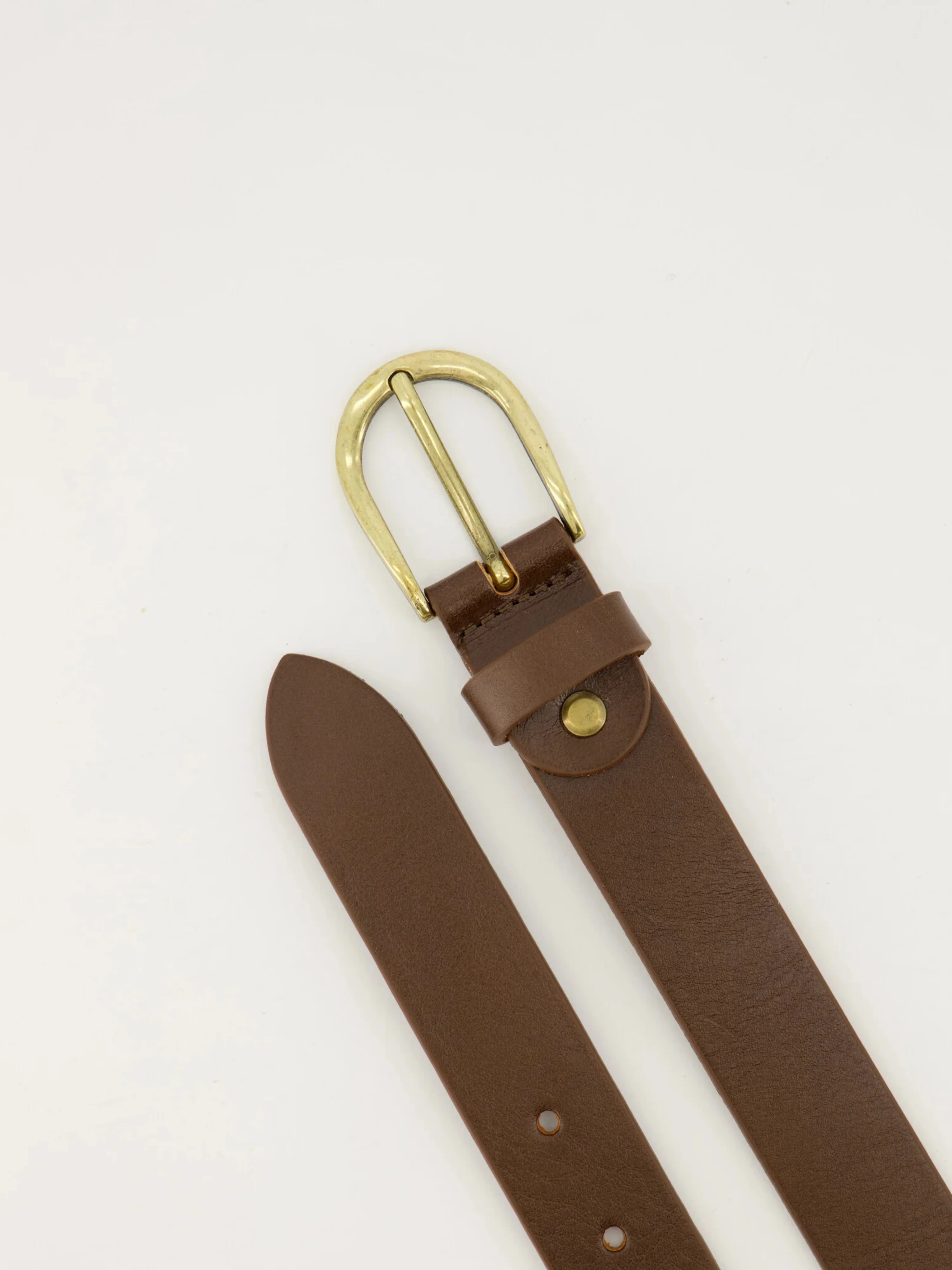 Dante riem bruin | gouden gesp - Image 2